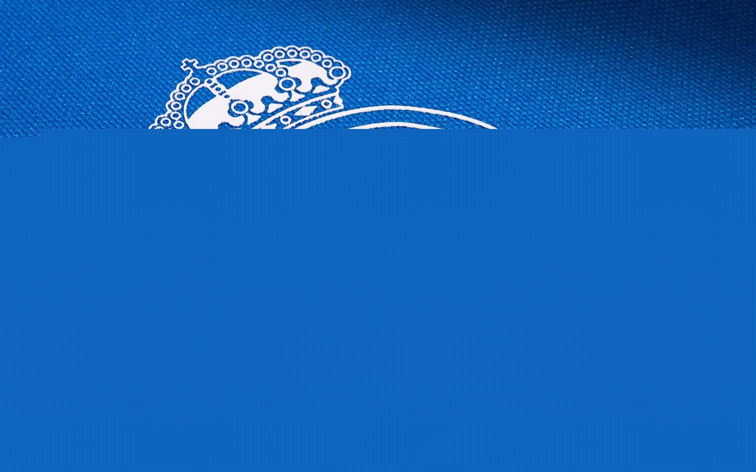 阵狼队的胜 阵狼队的胜