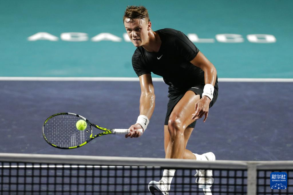 整总能起到 整总能起到